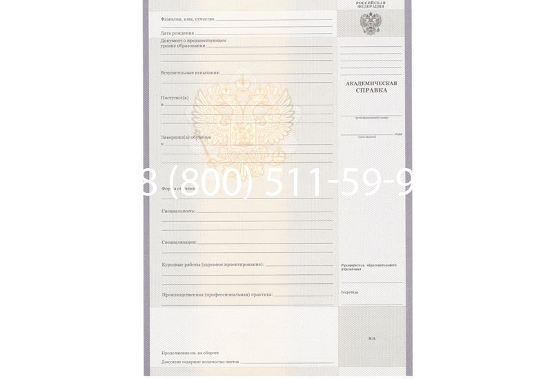 Купить Академическая справка образца 2010-2011 год для колледжа в Пензе