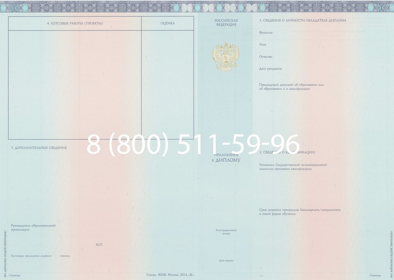 Заказать Диплом бакалавра 2014-2024 года в Пензе