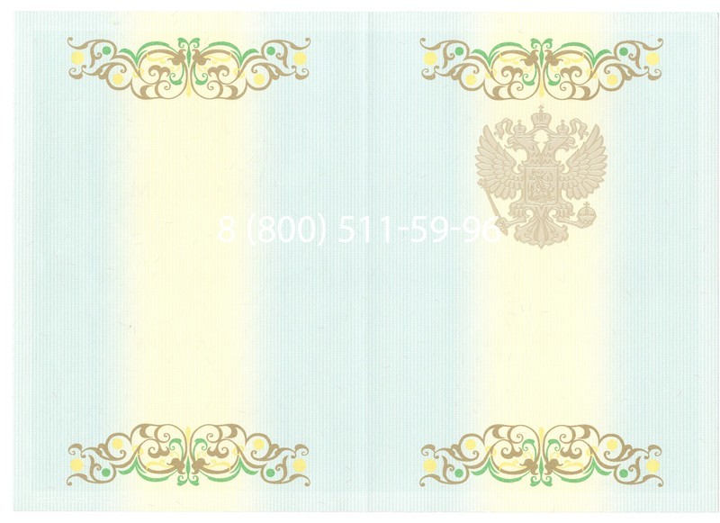 Купить Диплом бакалавра 2012-2013 годов в Пензе Купить Диплом бакалавра 2012-2013 годов в Пензе