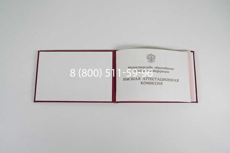 Диплом доктора наук 1995-2006 года в Пензе Диплом доктора наук 1995-2006 года в Пензе