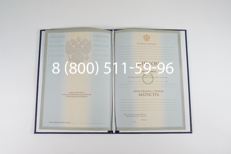 Диплом магистра 2003-2009 годов в Пензе