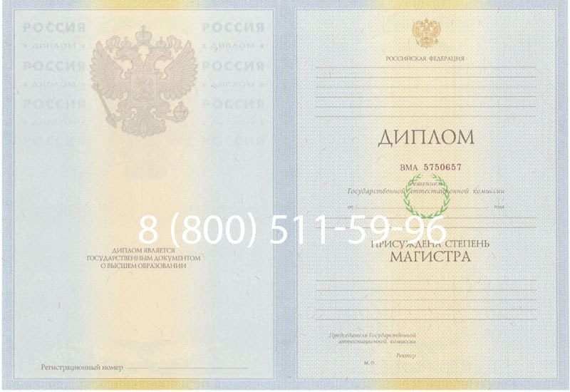 Купить Диплом магистра 2010-2011 годов в Пензе
