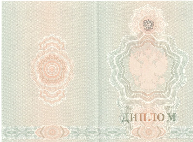 Купить Диплом о начальном образовании 2007-2009 годов в Пензе Купить Диплом о начальном образовании 2007-2009 годов в Пензе