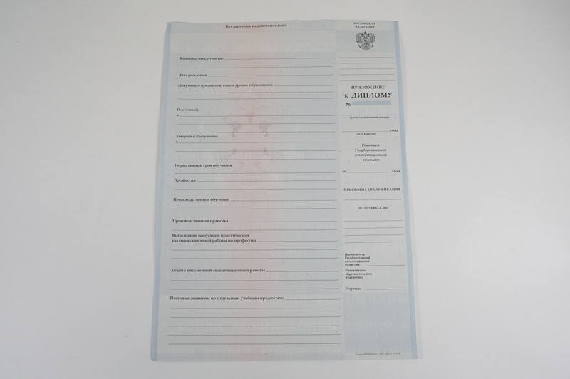 Диплом о начальном образовании 2007-2009 годов в Пензе Диплом о начальном образовании 2007-2009 годов в Пензе