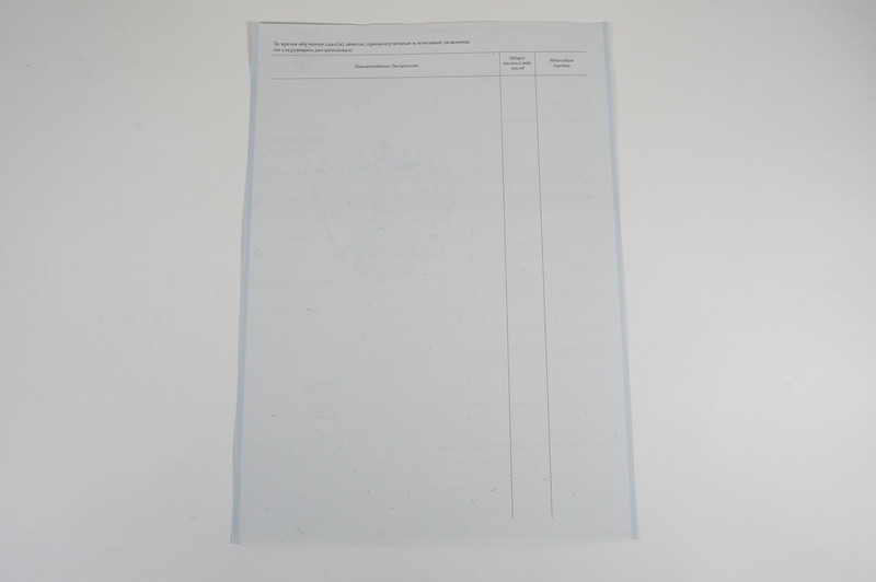 Диплом о начальном образовании 2007-2009 годов в Пензе Диплом о начальном образовании 2007-2009 годов в Пензе
