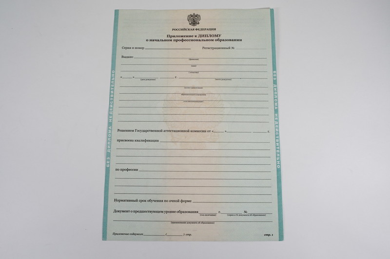 Диплом о начальном образовании  2010-2024 годов в Пензе
